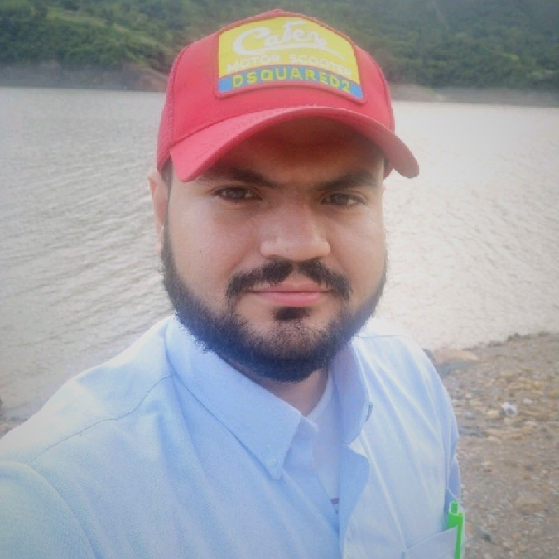 Ing. Luis Severiche